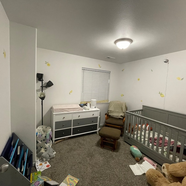 Lemon Wall Decals Watercolor Orange Stickers, LF036 - Etsy