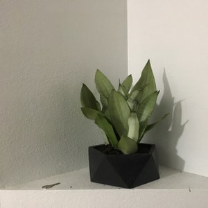 Audrey added a photo of their purchase