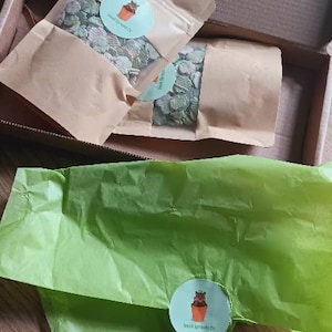 Phoebe added a photo of their purchase