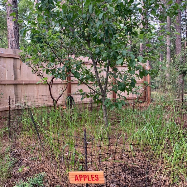 APPLES Sign, Outdoor Sign, Yard Art, Fruit Tree Marker, Orchard Sign ...
