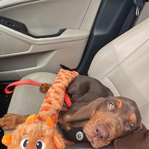 Keneisha added a photo of their purchase