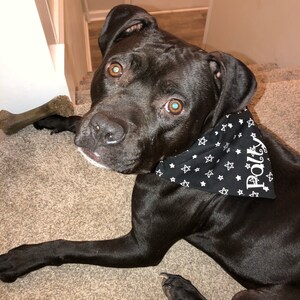 Shannon added a photo of their purchase