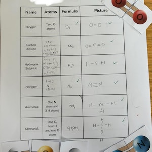 paige added a photo of their purchase