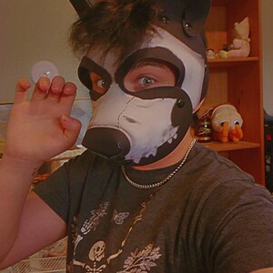 Pup Rex Dog Skull V1 Neoprene Pup Hood - Etsy