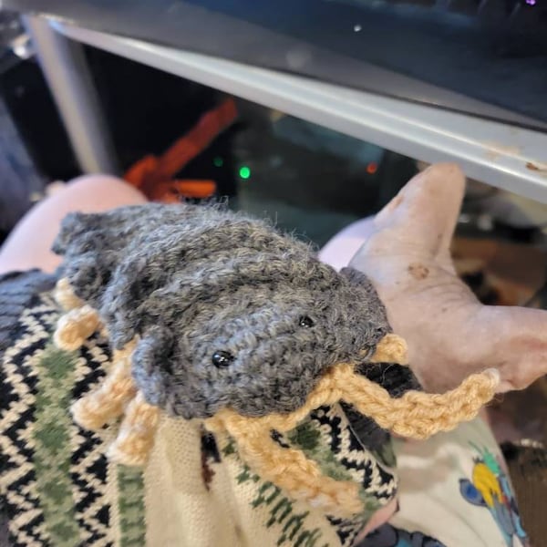 PDF Download - Realistic Isopod Crochet Pattern - Etsy