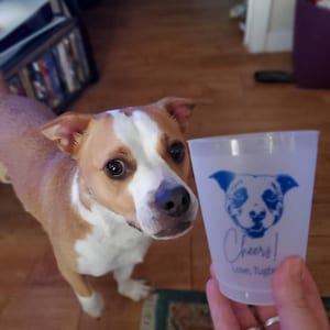 erin さんが購入した商品の写真を追加しました