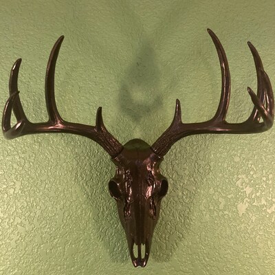 Gold Animal Skull Wall Decor by White Faux Taxidermy ® Mini - Etsy UK