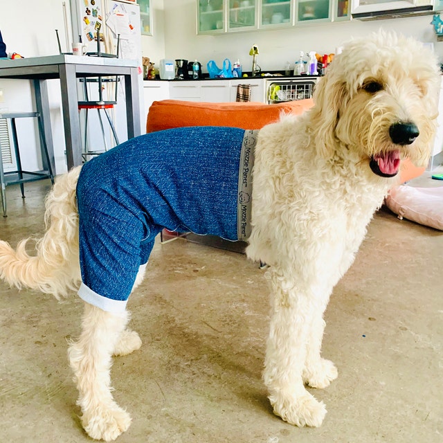 Mozzie Pants Original Dog Diaper Dog Pants Dog Wounds Dog Surgery Dog Cone Dog Incontinence Dog in Heat Dog Hot Spots E collar Etsy