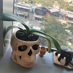 Andrew added a photo of their purchase