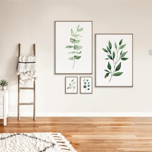 Andromeda added a photo of their purchase
