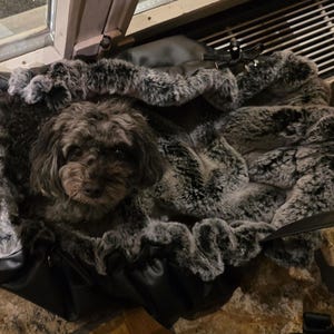 Simone ha aggiunto una foto del proprio acquisto