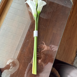 Sydney added a photo of their purchase