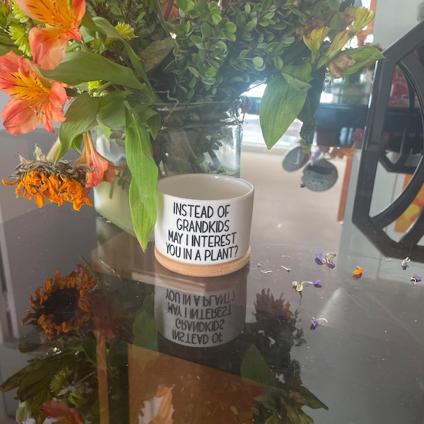 Instead of Grandkids May I Interest You in a Plant | Gift for Mom ...