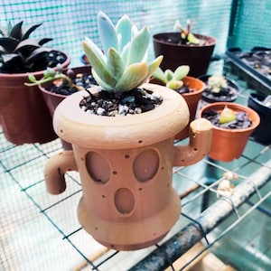 Sarah added a photo of their purchase