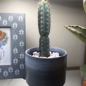 Lieni added a photo of their purchase