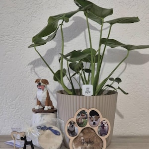 Johanna added a photo of their purchase