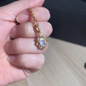 Molly added a photo of their purchase