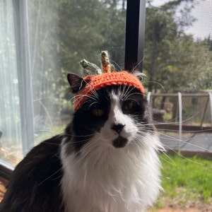 Lily added a photo of their purchase