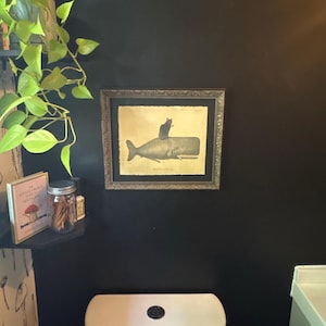 Ichabod added a photo of their purchase