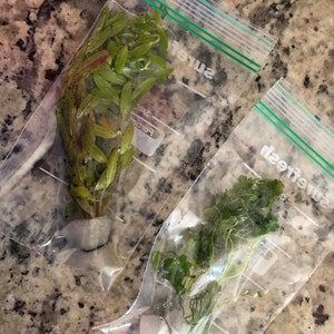 Tawnya added a photo of their purchase