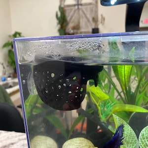 Harley added a photo of their purchase