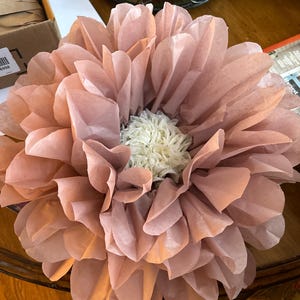Mary added a photo of their purchase