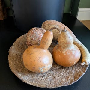Pauline added a photo of their purchase