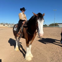 Gilet de concours rouge et noir avec ornements, équitation western - Canada
