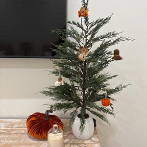 Jan added a photo of their purchase