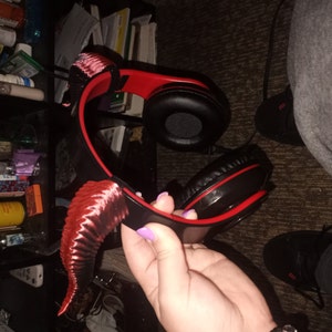 Anna added a photo of their purchase