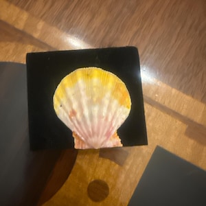 Lisa added a photo of their purchase