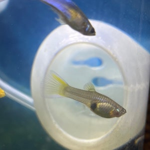 Riley added a photo of their purchase
