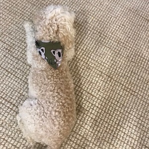 Mary added a photo of their purchase