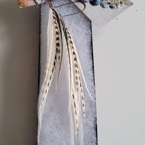 Anita added a photo of their purchase