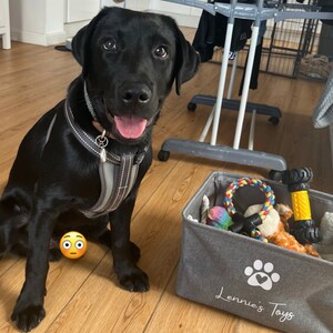 Chelsea a ajouté une photo de son achat
