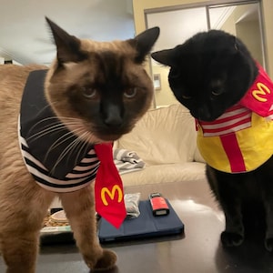 Sijun adicionaram uma foto da sua compra