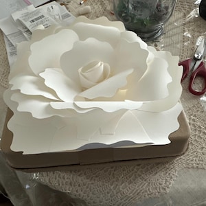 Lindsay added a photo of their purchase