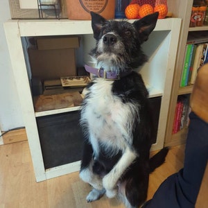 Laura added a photo of their purchase