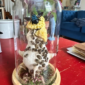 Lisa added a photo of their purchase