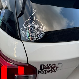 Amanda added a photo of their purchase