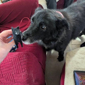 Amy added a photo of their purchase