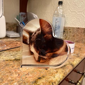 Susan added a photo of their purchase