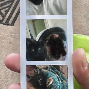 Leash added a photo of their purchase
