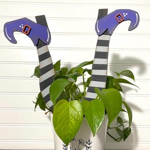 Pamela added a photo of their purchase