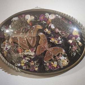 Emily added a photo of their purchase