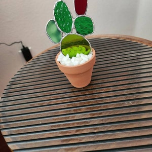 Andrea added a photo of their purchase