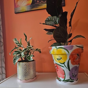 Ana added a photo of their purchase