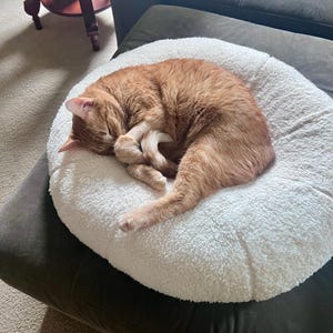 Tammy added a photo of their purchase