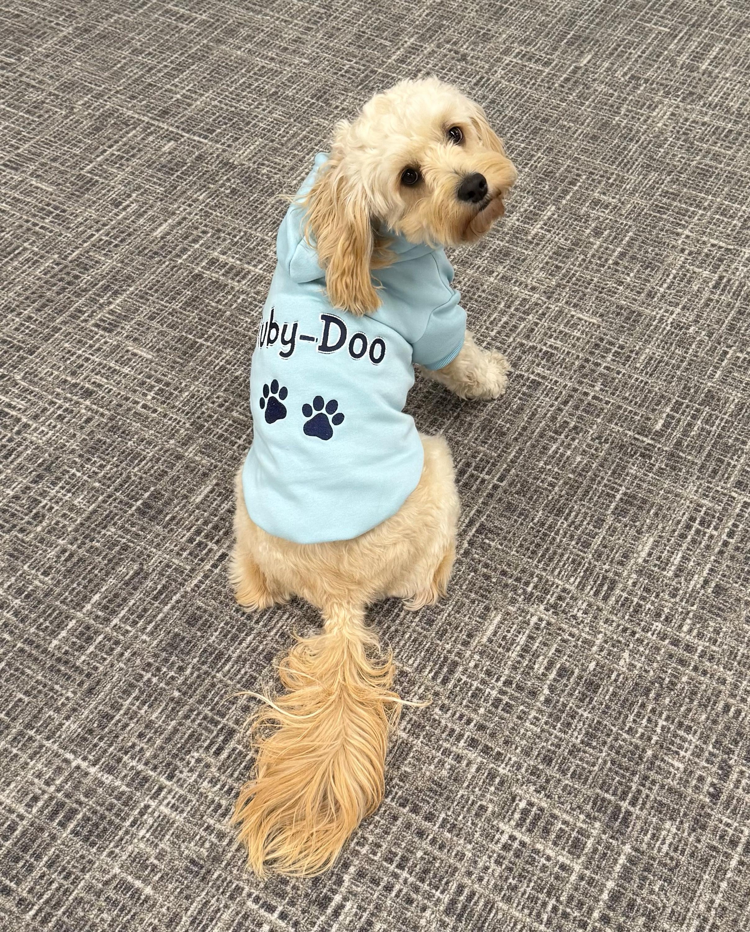 Personalized Dog Hoodie - Name Pet Hoodie - Personalized Dog Sweatshirt - Puppy Clothing - Personalized Dog Clothes - Outdoor Dog Coat