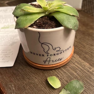Acquirente Etsy ha aggiunto una foto del proprio acquisto